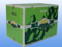 中空板彩盒包装箱